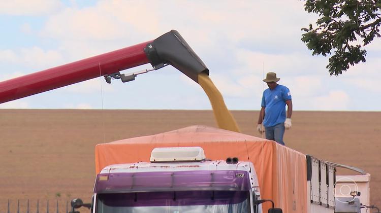 Guerra no Oriente Médio atinge exportações brasileiras; queda chega a quase 30%
