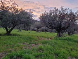 Giornata mondiale della Terra. Milano: “Non siamo spettatori impotenti, ma protagonisti”