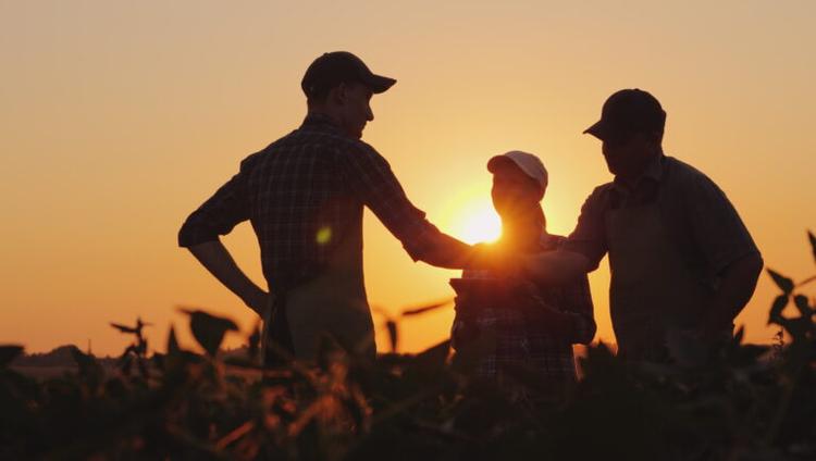 ISF Launches New Global Guidelines on Social Rights and Ethical Seed Production