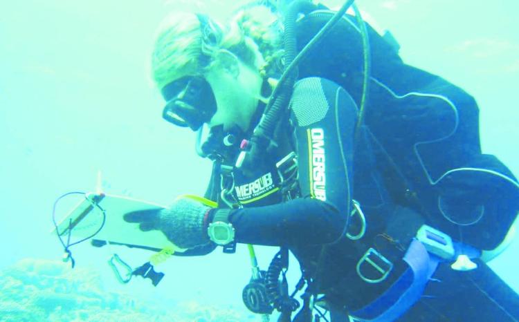Maldive, strage in paradiso. Morti cinque sub italiani