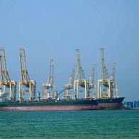 Emirados Árabes Unidos anunciam saída da Organização dos Países Exportadores de Petróleo