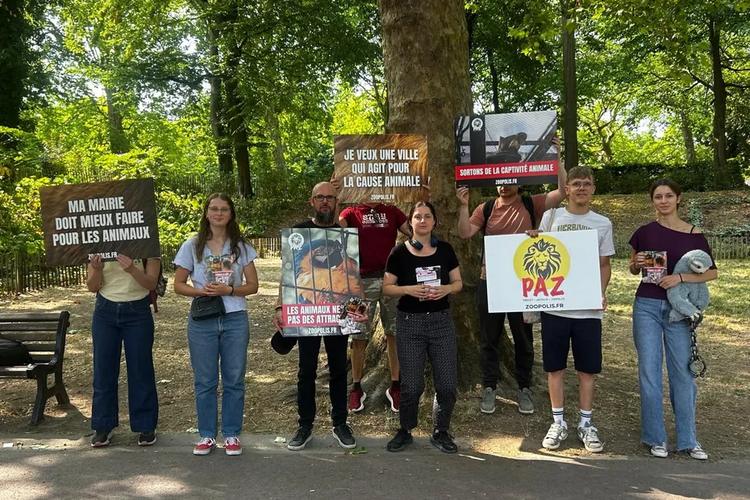 "Fermez le zoo" : des militants manifestent devant le zoo de Lille, la Ville défend la conservation des espèces