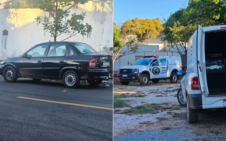 Filhotes de cachorro são resgatados de porta-malas de carro sob sol forte&nbsp;ao lado de UPA Veterinária,&nbsp;em Goiânia