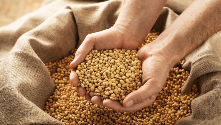 Ukraine’s New GM Traceability Law Takes Shape