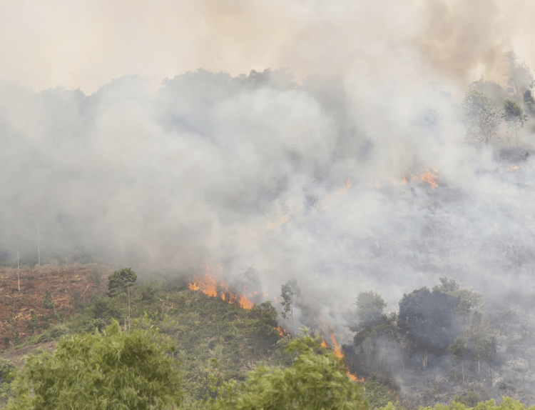 Chine : deux pompiers décédés en luttant contre des feux de forêt