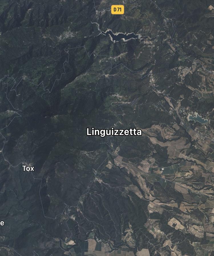 Linguizzetta (2B)