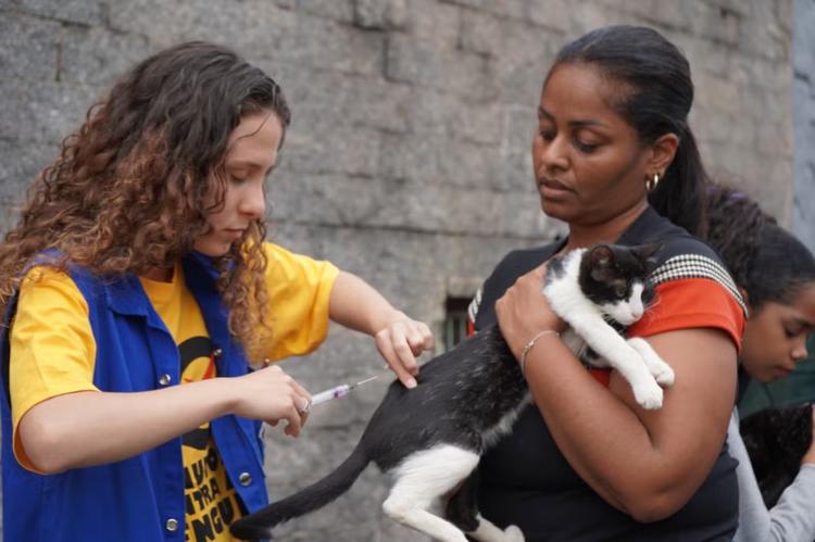 Volta Redonda inicia vacinação antirrábica de cães e gatos neste sábado