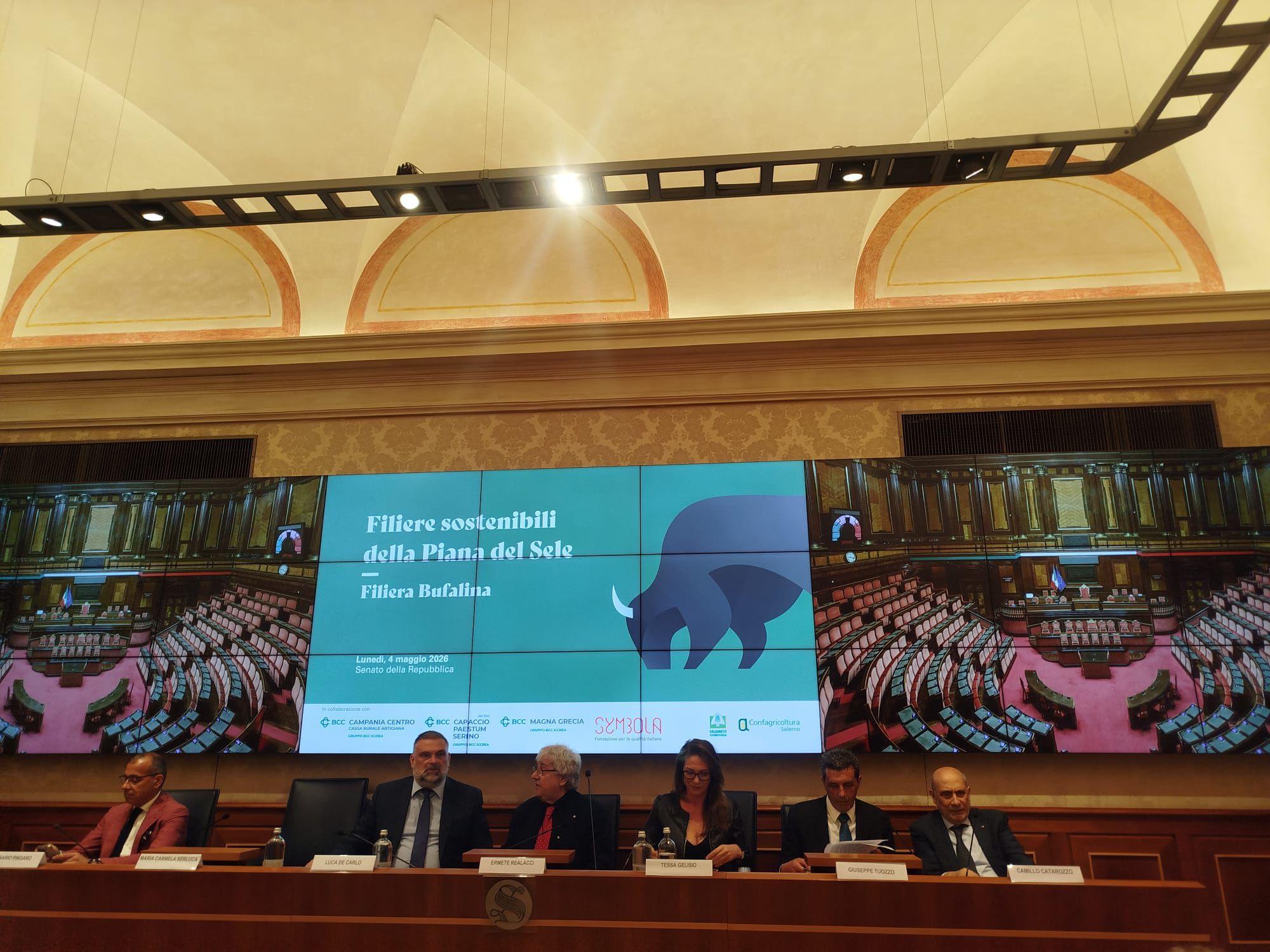 Piana del Sele: la filiera bufalina punta su sostenibilità e innovazione