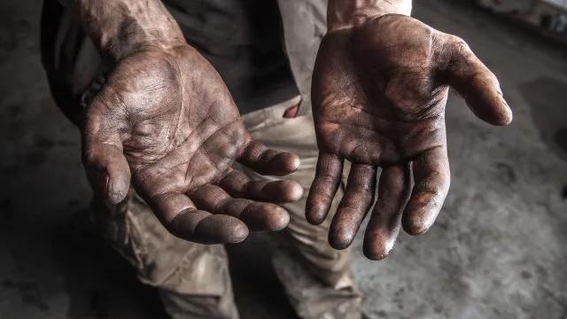 AM: PF resgata 50 trabalhadores em condições análogas à escravidão