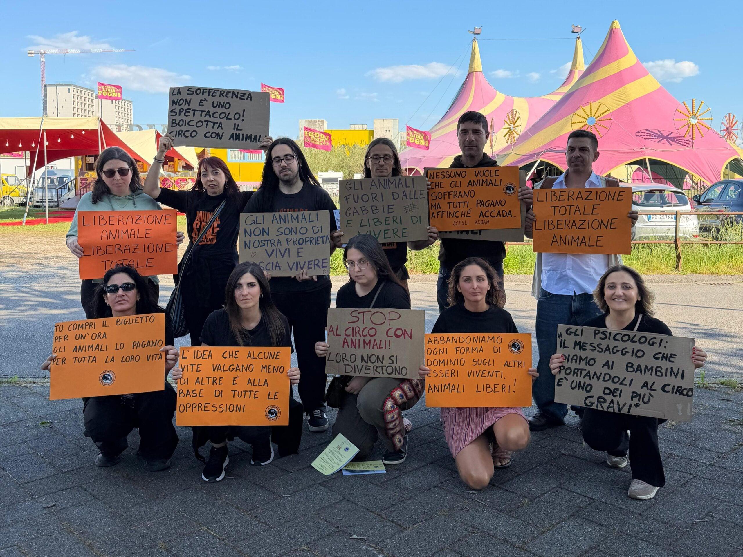 Salerno si mobilita contro i circhi con animali: «È violenza resa spettacolo»