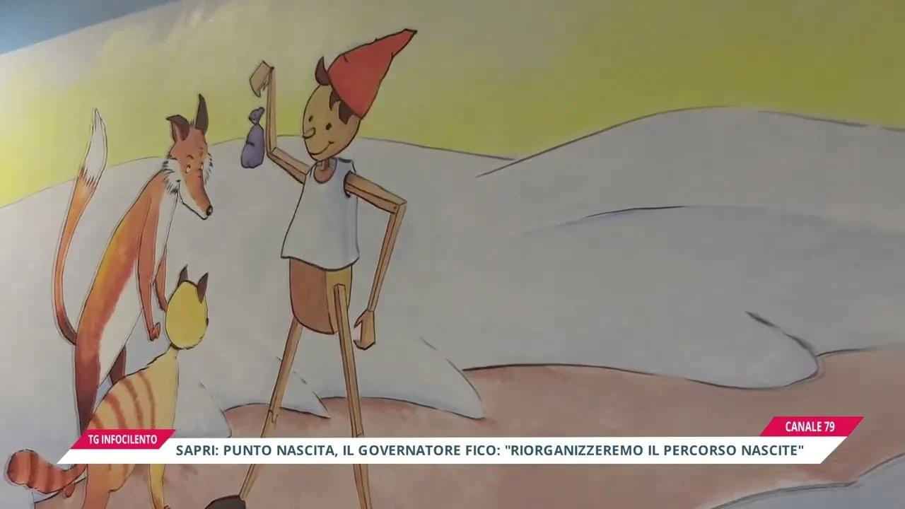 Sanità nel Golfo di Policastro: la posizione della Regione Campania sul Punto Nascita di Sapri