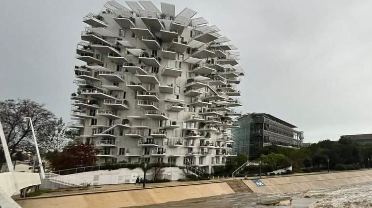 Montpellier : le restaurant et le rooftop de l'Arbre Blanc ferment définitivement