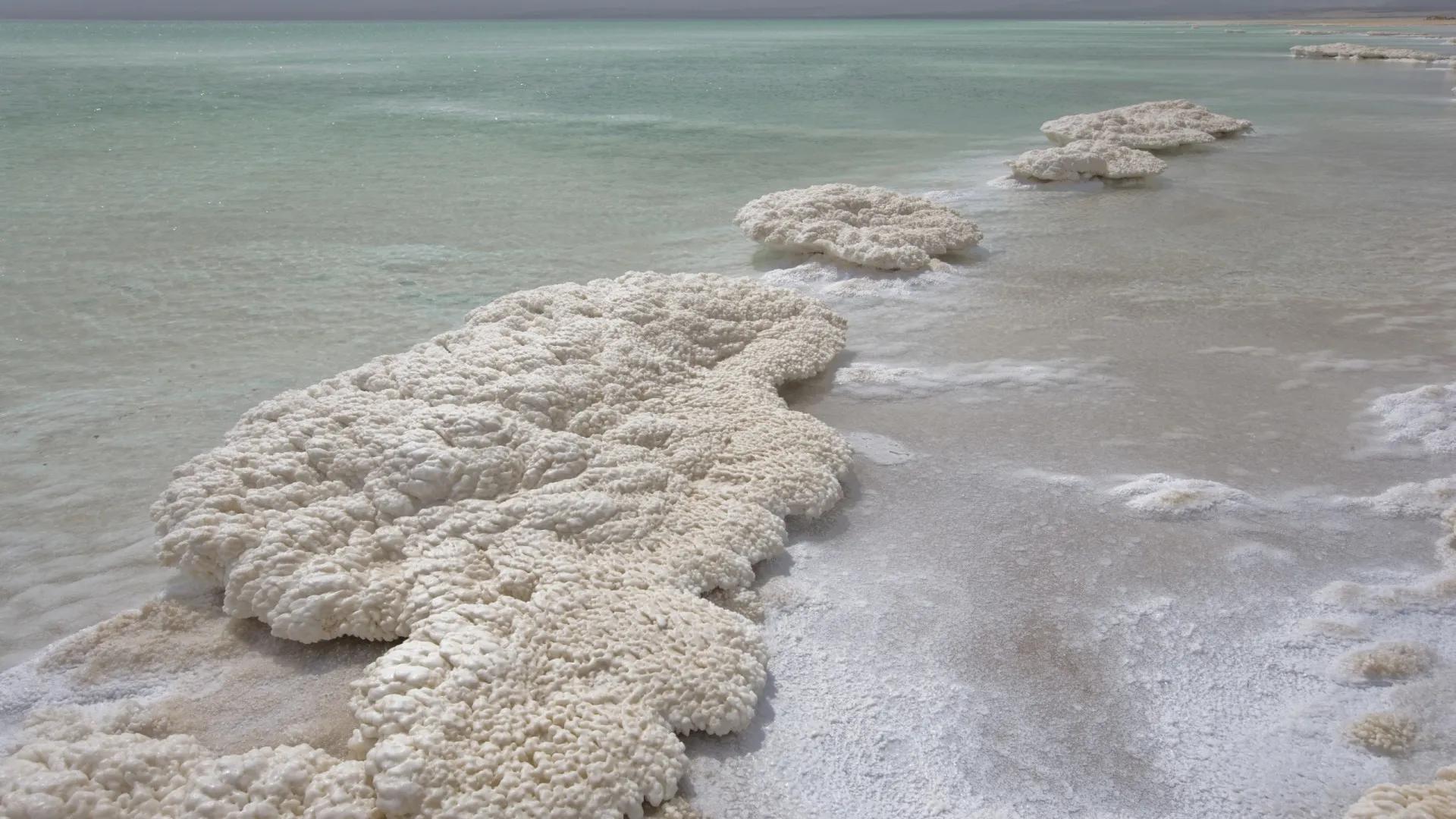 O Mar Morto está despertando: o que isso significa para o mundo?
