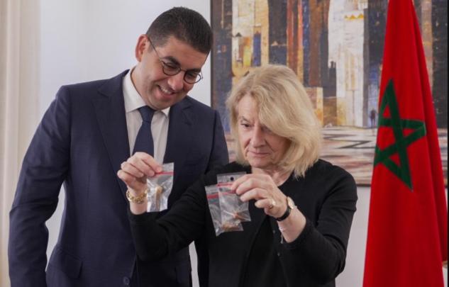 المغرب يستعيد من فرنسا أسنان نادرة تعود إلى 70 مليون سنة