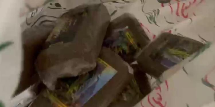 Catania, nasconde 3 chili e mezzo di droga a casa della nonna: incastrato dal fiuto del cane Ares