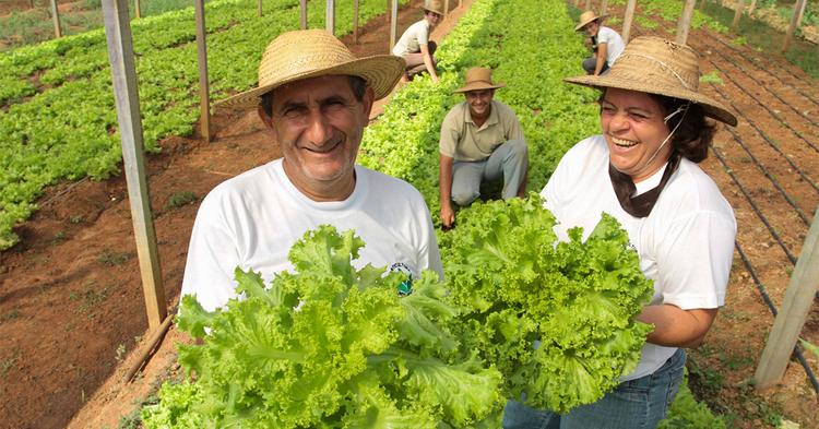 Agricultura familiar abastece cozinhas solidárias no combate à insegurança alimentar