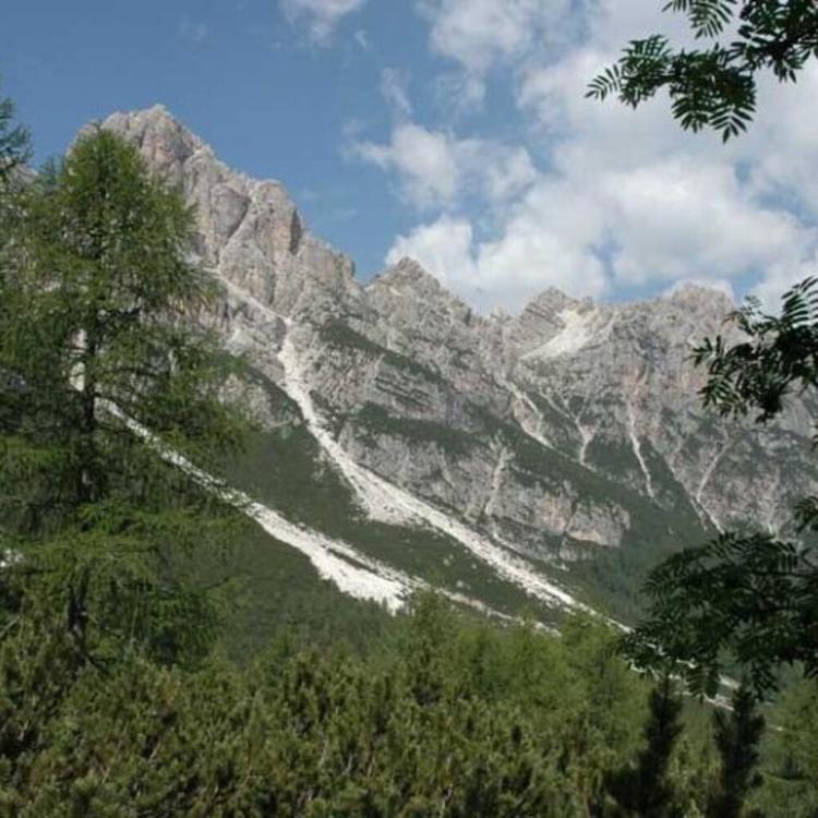 Il futuro dell'ambiente è dei giovani: ecco i vincitori del Dolomia Biodiversity Award