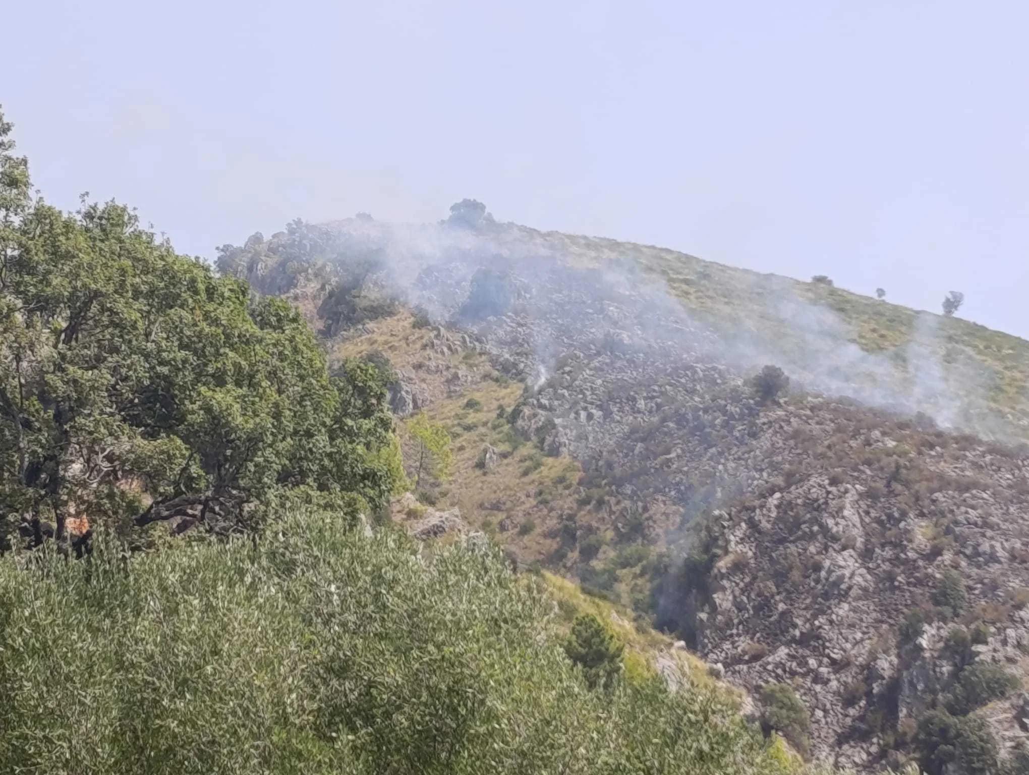 Incendio a Vibonati: fiamme in località Tempitello, soccorsi in azione