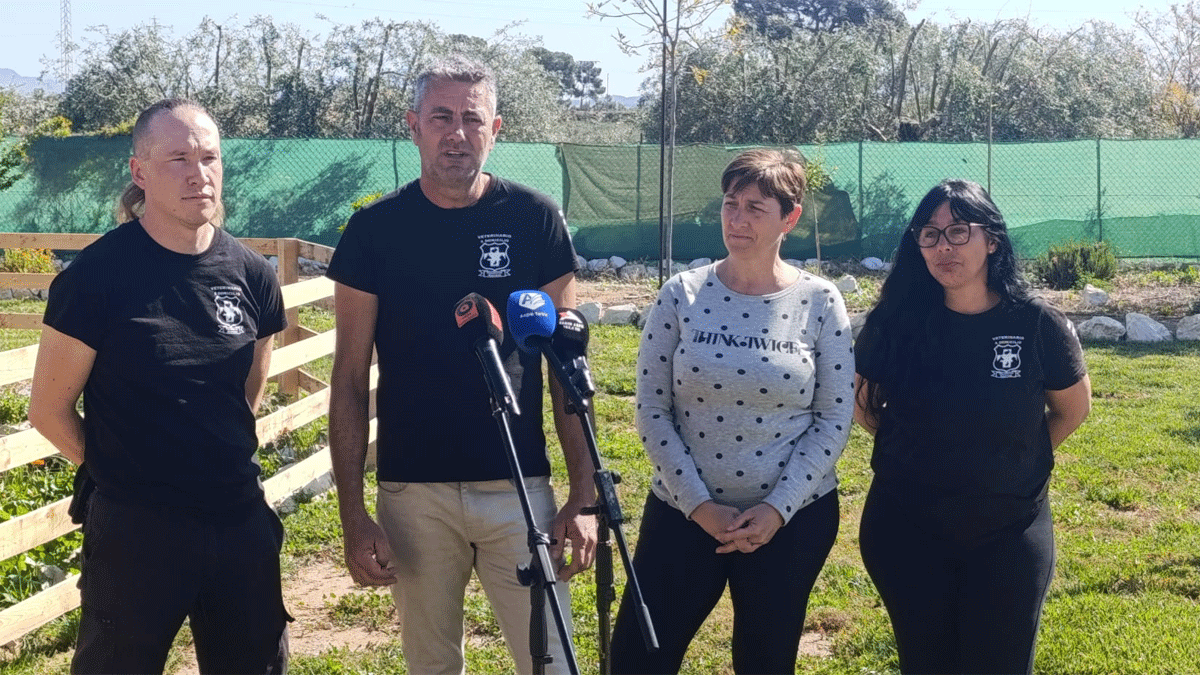 #Aspe: Los escolares aprenden bienestar animal en la granja y colonias felinas