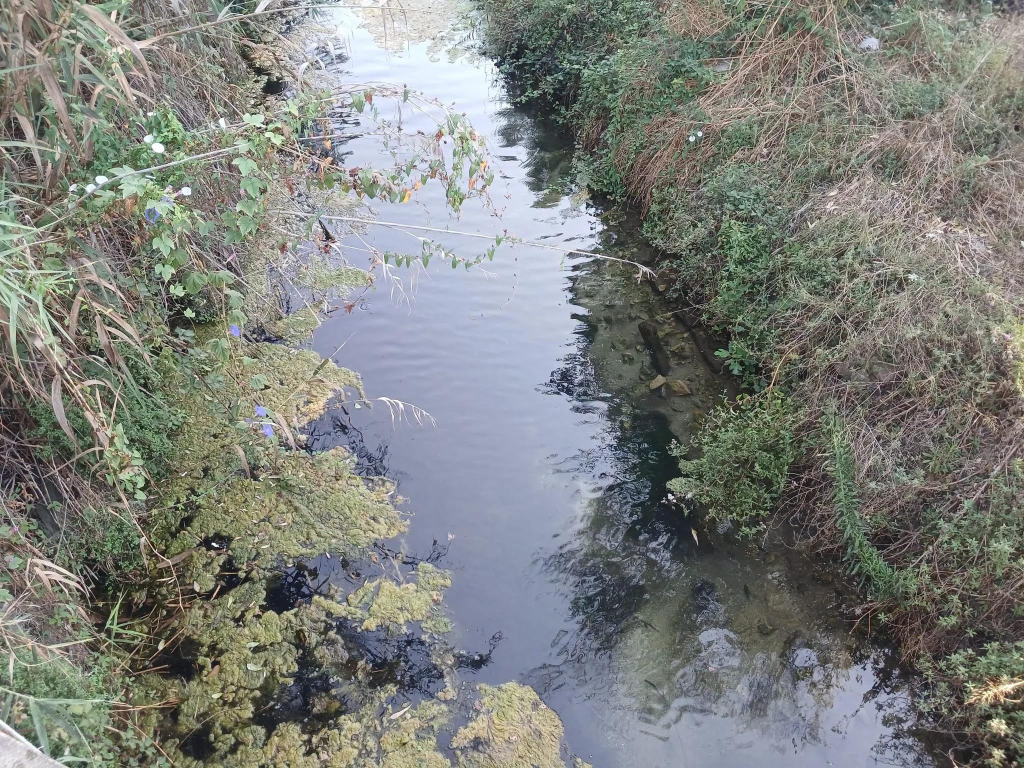 Capaccio Paestum, sversamento nel fiume Acqua Sulfurea: azienda sotto sequestro