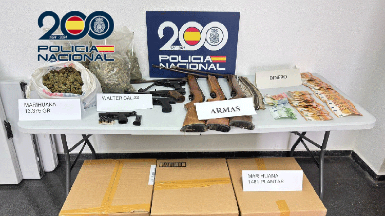 #Elda: Desarticulado un grupo criminal con dos plantaciones de marihuana