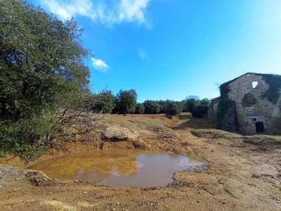 L'Ajuntament de Girona organitza una sessió informativa sobre les basses pluvials que s’estan recuperant i creant a la ciutat