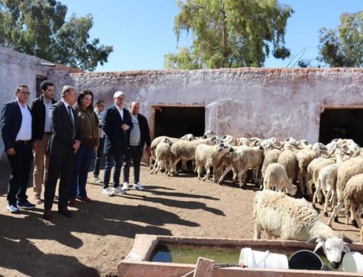 عامل إقليم قلعة السراغنة والمديرة الجهوية للفلاحة في زيارة لمشاريع مرتبطة بالقطاع الفلاحي+ صور
