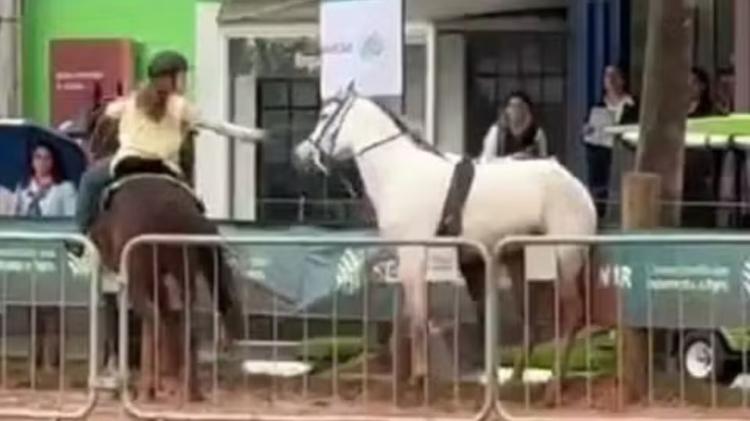 'Quando vi, ela pegou ele', relata mãe de menina de 12 anos que controlou cavalo desgovernado no RS