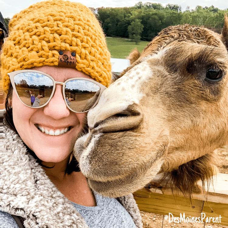 French Lick, Wilstem Wildlife Park, safari, animal encounters, travel, midwest travel, Indiana, elephant encounter, giraffe encounter, road trip, family travel, Lake Patoka