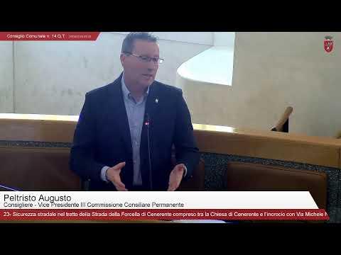 Consiglio Comunale n. 14 Q.T.