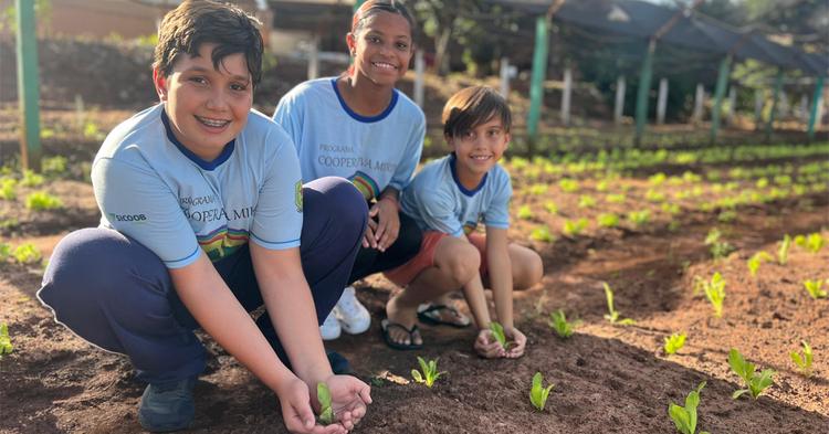 Cooperativas mirins crescem no Brasil com 15 mil crianças e adolescentes em projetos de empreendedorismo