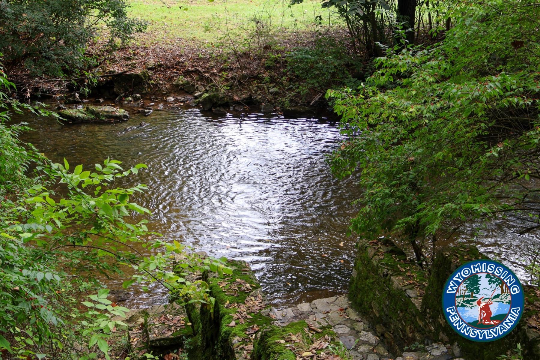 Wyomissing Borough awarded $250,000 grant for Parklands Creek restoration