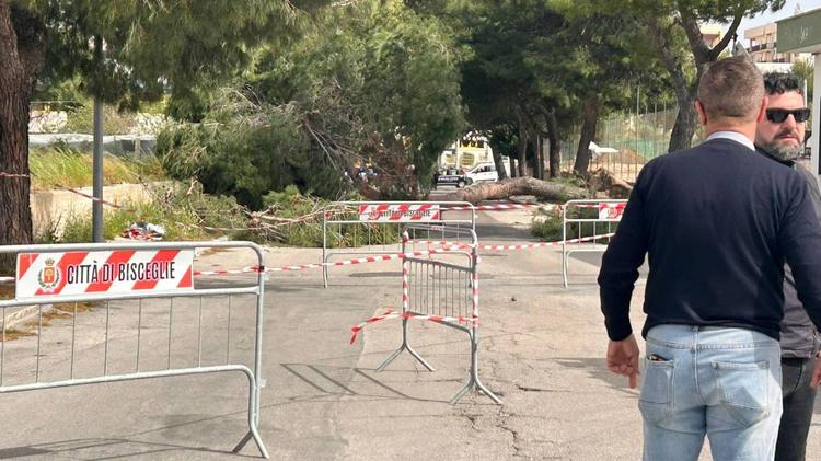 Due morti per il forte vento in Puglia: 12enne schiacciata da un albero, operaio colpito da un palo delle luce