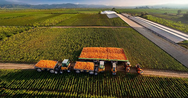 Brasil reduz diferença de US$56 bi e pode assumir liderança global no volume de exportações agrícolas