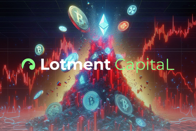 Come LotmentCapital adatta i suoi servizi a diversi gruppi di clienti