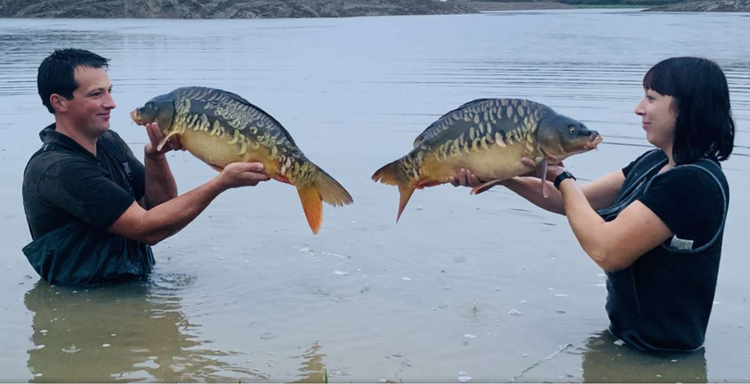 Noch ist Bedarf nach Fisch und folglich Fischteichen. Foto: LK Steiermark