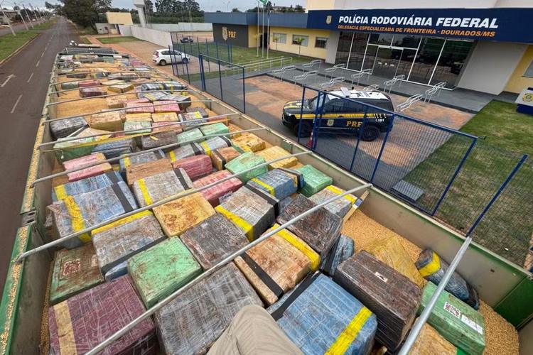 PRF apreende mais de 6 toneladas de maconha escondidas em carga de soja e prende motorista em MS