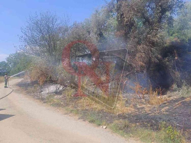 bollengo incendio boschivo al lago blu