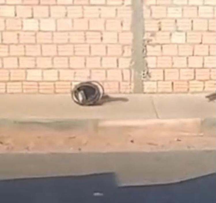 Motociclista morre após bater em poste em Boa Vista