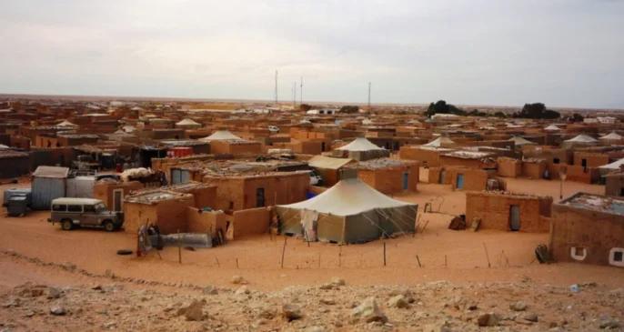 متدخلون بالأمم المتحدة ينددون بتجنيد الأطفال من طرف “البوليساريو”