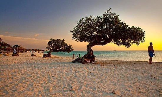 Leading the list of top Caribbean Beaches for 2026 is Eagle Beach in Aruba.