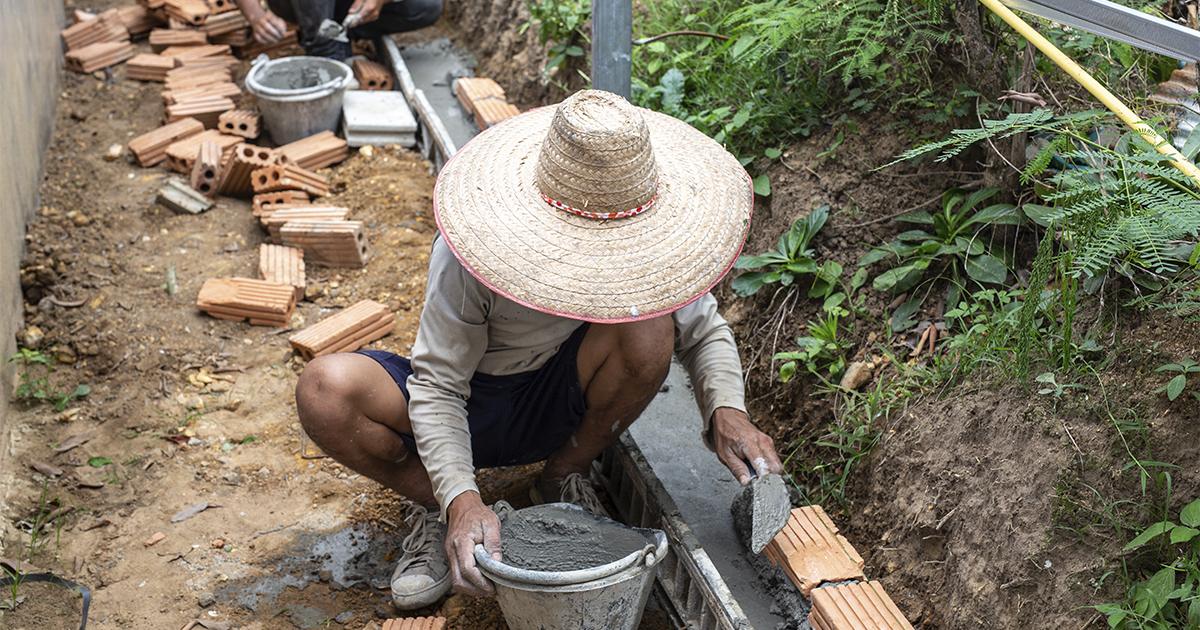 OIT alerta que alta informalidade na agropecuária compromete segurança e direitos de trabalhadores temporários