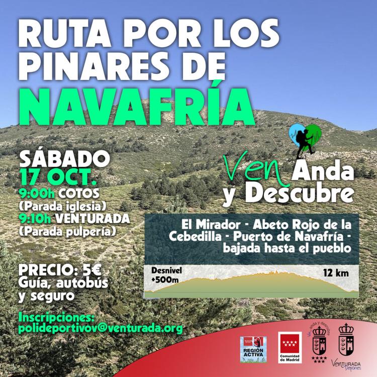 ¡VEN, ANDA Y DESCUBRE… LOS PINARES DE NAVAFRÍA!