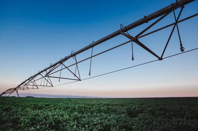 Secas, dívidas e sucessão desafiam agronegócio do Rio Grande do Sul