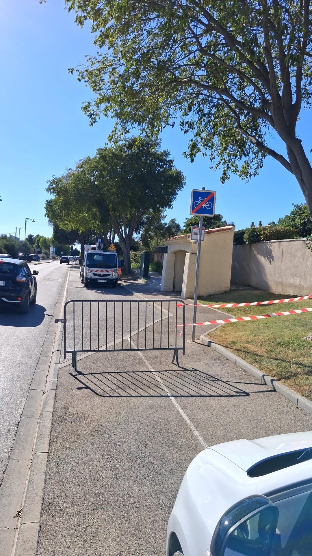 Avenue Montricher – intervention en cours