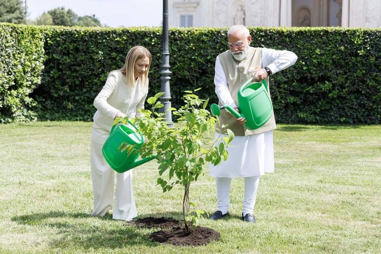 Meloni-Modi, asse speciale. "Italia e India vicinissime"