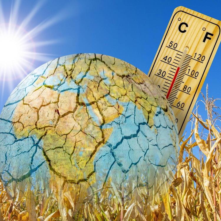 Caldo record e bollini rossi in 25 città: fino a quando durerà il picco di afa?