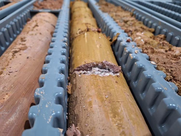 Ibama alerta para impactos acumulativos da extração de terras raras no Sul de MG e recomenda avaliação conjunta dos projetos