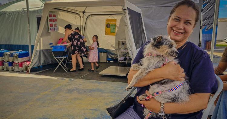 Mutirão gratuito de castração para cães e gatos tem inscrições abertas em Navegantes