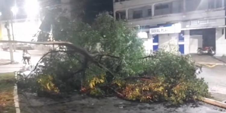 Chuva em Governador Valadares provoca destelhamentos, falta de energia e queda de árvores